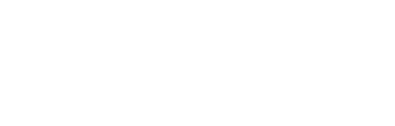 McKinsey Logo white